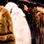 fur coat store